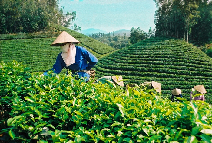 Hồ Núi Cốc nằm ở tỉnh nào của Việt Nam? ho nui coc nam o tinh nao cua viet nam