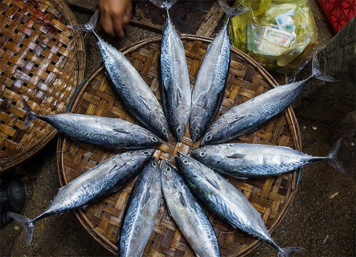 co mot quy nhon yen binh trong bai viet cua phong vien nuoc ngoai