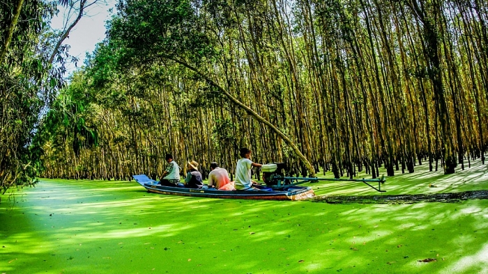 Tượng đài cá basa nằm ở tỉnh nào? viet nam co tuong dai ca basa nam o tinh nao