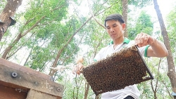9x giam loai rau thuoc tot vu vu hai ngon ban nhu tom tuoi