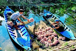ca mau co tan giam doc so y te sau hon 1 nam bi khuyet