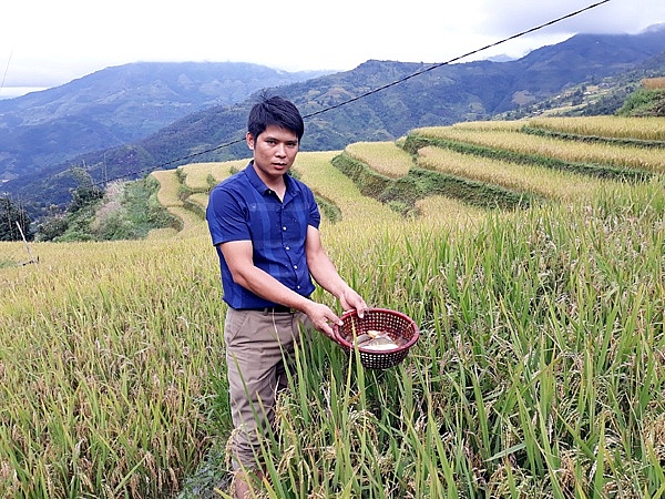 Vì sao dân ở đây nuôi được cá chép trong ruộng bậc thang rất cao? vi sao dan o day nuoi duoc ca chep trong ruong bac thang rat cao