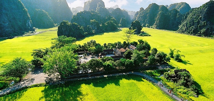 co do hoa lu thuoc tinh nao