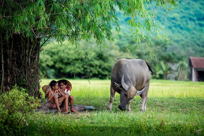 Dạy con những quy tắc giữ an toàn khi về quê nghỉ hè day con nhung quy tac giu an toan khi ve que nghi he