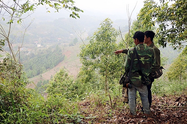 Tuyệt chiêu săn sơn kê xuyên Tây Bắc của thợ săn cực đỉnh tuyet chieu san son ke xuyen tay bac cua tho san cuc dinh