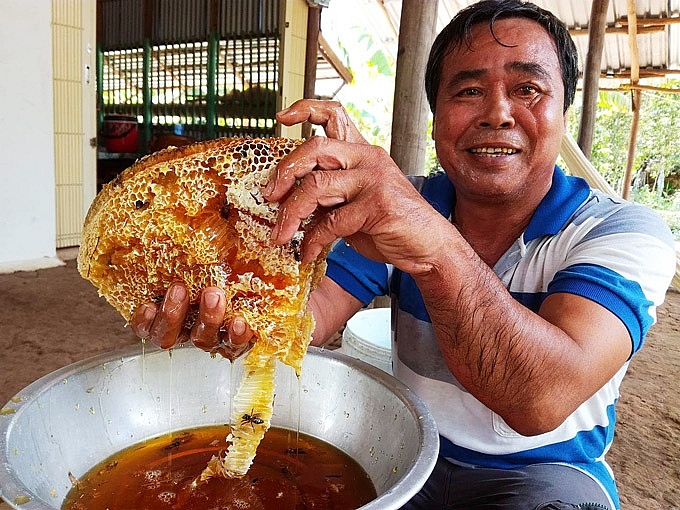 Kiên Giang: Đã mắt, phát thèm trước những tảng mật ong rừng U Minh kien giang da mat phat them truoc nhung tang mat ong rung u minh