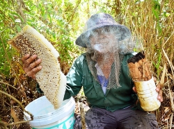 mang vang tu rung