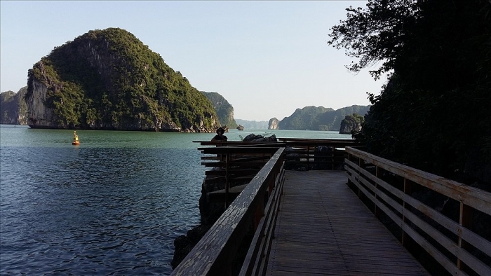 Đẹp mê hồn đảo hoa sim tím giữa vịnh Hạ Long dep me hon dao hoa sim tim giua vinh ha long