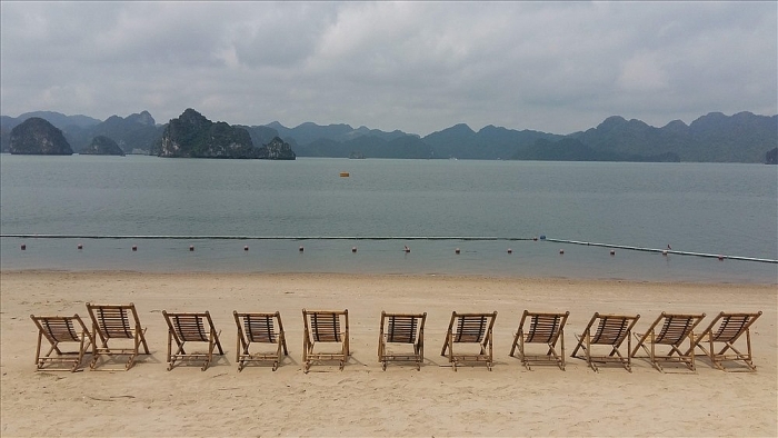 Đẹp mê hồn đảo hoa sim tím giữa vịnh Hạ Long dep me hon dao hoa sim tim giua vinh ha long