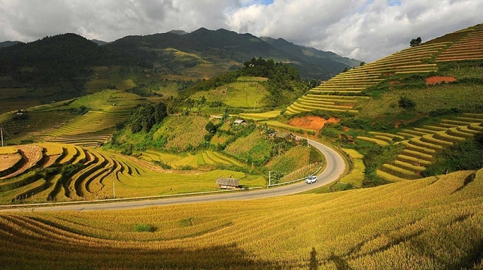 ruong bac thang mu cang chai nam o tinh nao