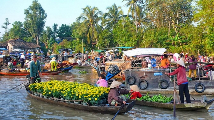Tỉnh nào trồng nhiều vú sữa nhất Việt Nam? tinh nao trong nhieu vu sua nhat viet nam