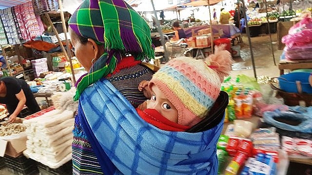Những em bé đi chợ trên… lưng mẹ ở Bắc Hà! nhung em be di cho tren lung me o bac ha