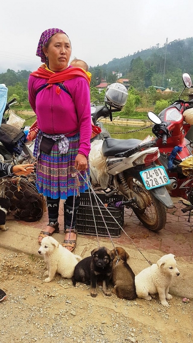 Những em bé đi chợ trên… lưng mẹ ở Bắc Hà! nhung em be di cho tren lung me o bac ha