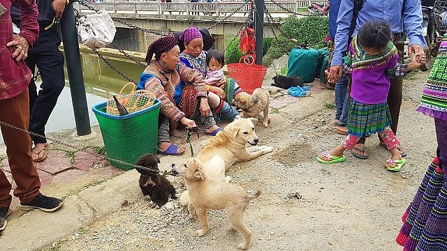 Những em bé đi chợ trên… lưng mẹ ở Bắc Hà! nhung em be di cho tren lung me o bac ha