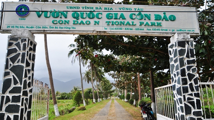 con dao diem den tuyet voi dac san nhat dinh phai thu