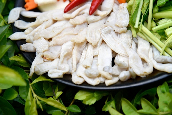 con dao diem den tuyet voi dac san nhat dinh phai thu
