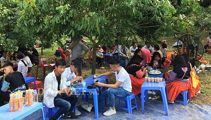 Rực rỡ sắc màu tại "Ngày hội hái quả 2019" ở Mộc Châu ruc ro sac mau tai ngay hoi hai qua 2019 o moc chau