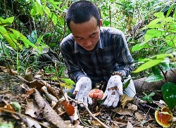 gioi nha giau san tan hang o de tom than duoc ban linh dan ong