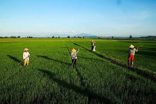 Có một miền Trung tình và thơ như thế! co mot mien trung tinh va tho nhu the