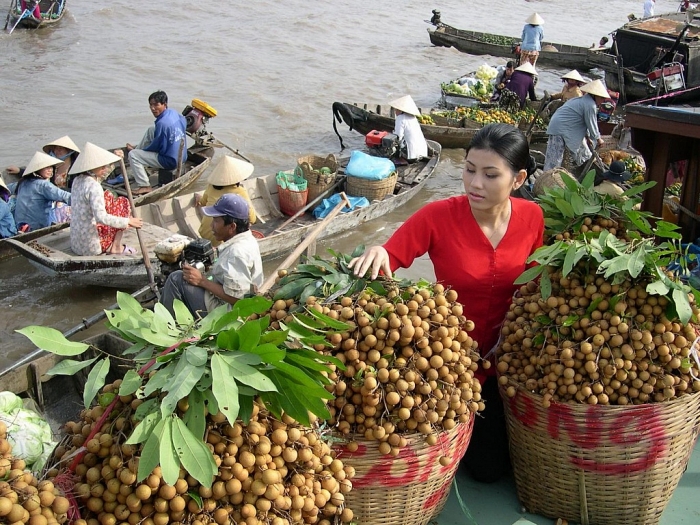 Bảo tàng rắn đầu tiên ở Việt Nam nằm tại tỉnh nào? bao tang ran dau tien o viet nam nam tai tinh nao