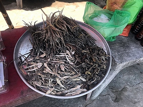 Giới nhà giàu săn tận hang ổ để tóm "thần dược" bản lĩnh đàn ông gioi nha giau san tan hang o de tom than duoc ban linh dan ong