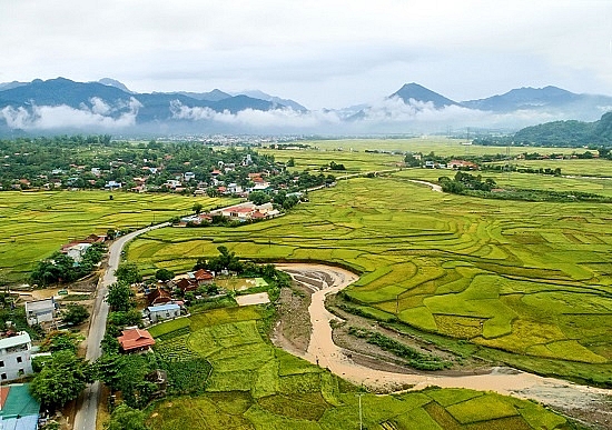 Chùm ảnh: Mùa "ngọc trời" trên "tứ đại cánh đồng" lớn nhất Tây Bắc chum anh mua ngoc troi tren tu dai canh dong lon nhat tay bac