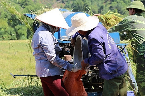 Chùm ảnh: Mùa "ngọc trời" trên "tứ đại cánh đồng" lớn nhất Tây Bắc chum anh mua ngoc troi tren tu dai canh dong lon nhat tay bac