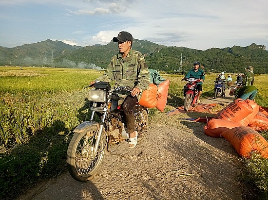 Chùm ảnh: Mùa "ngọc trời" trên "tứ đại cánh đồng" lớn nhất Tây Bắc chum anh mua ngoc troi tren tu dai canh dong lon nhat tay bac