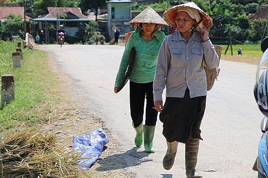 Chùm ảnh: Mùa "ngọc trời" trên "tứ đại cánh đồng" lớn nhất Tây Bắc chum anh mua ngoc troi tren tu dai canh dong lon nhat tay bac