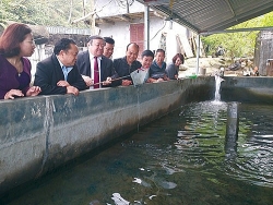 an giang nhung chuyen xe ngua vung giap bien