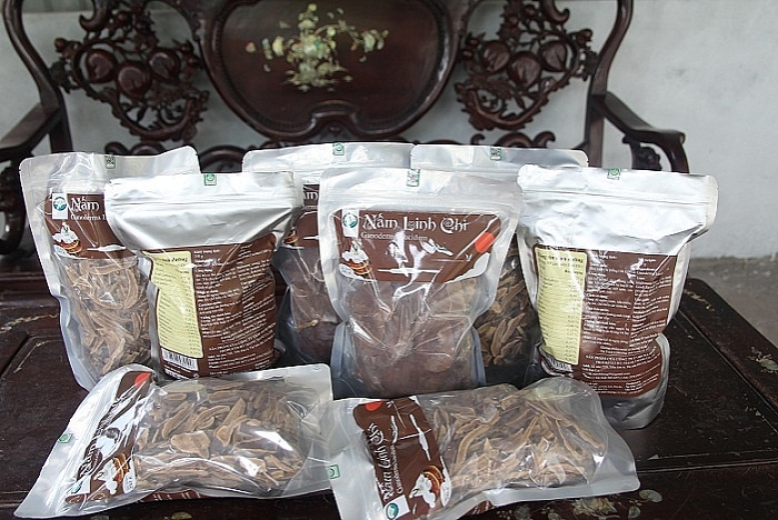 Làm giàu ở nông thôn: Tiền tỷ "mọc ra" từ những cành củi khô lam giau o nong thon tien ty moc ra tu nhung canh cui kho