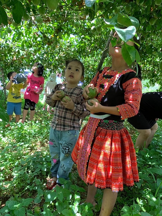 Pà Cò (Mai Châu) với nhiều trải nghiệm cho cả gia đình bạn dịp hè này pa co mai chau voi nhieu trai nghiem cho ca gia dinh ban dip he nay
