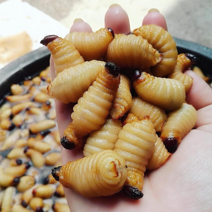Nam Bộ nổi tiếng với đặc sản nào? nam bo noi tieng voi dac san nao