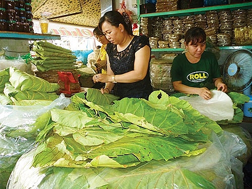 hoi sinh la loon loai cay thay tui ni long trong rung binh thuan
