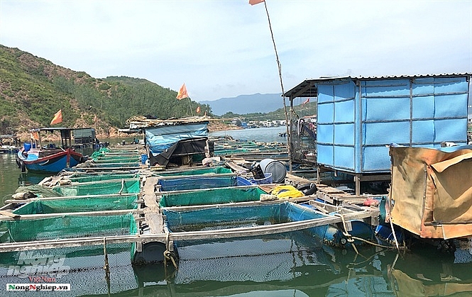 Nhốt cá vào lồng, hết cảnh treo niêu mà cả làng còn đổi đời nhot ca vao long het canh treo nieu ma ca lang con doi doi