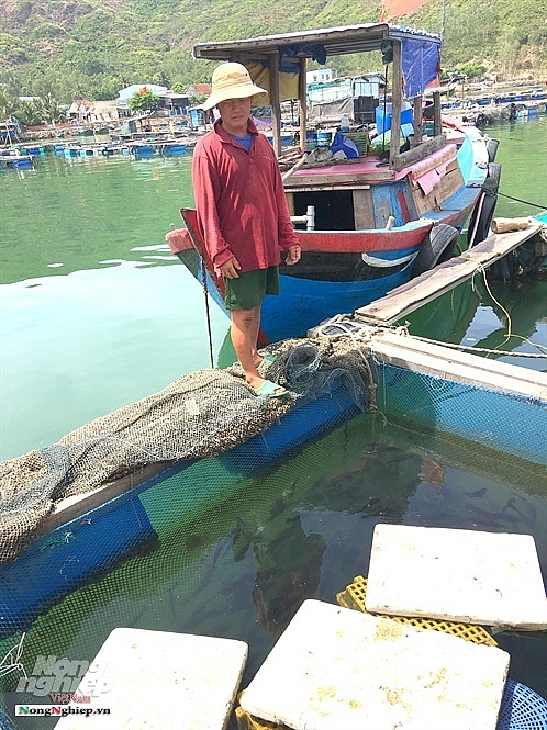 Nhốt cá vào lồng, hết cảnh treo niêu mà cả làng còn đổi đời nhot ca vao long het canh treo nieu ma ca lang con doi doi