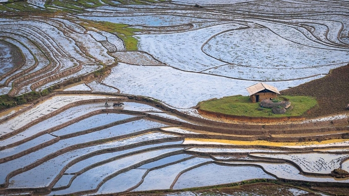 Mùa nước đổ đẹp như tranh ở Lào Cai mua nuoc do dep nhu tranh o lao cai