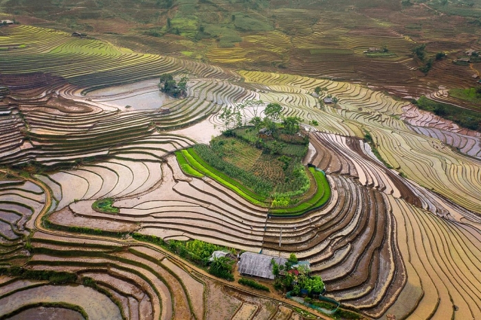 Mùa nước đổ đẹp như tranh ở Lào Cai mua nuoc do dep nhu tranh o lao cai