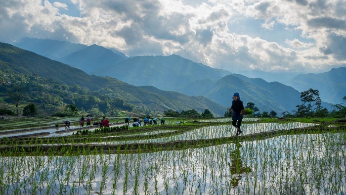 Mùa nước đổ đẹp như tranh ở Lào Cai mua nuoc do dep nhu tranh o lao cai