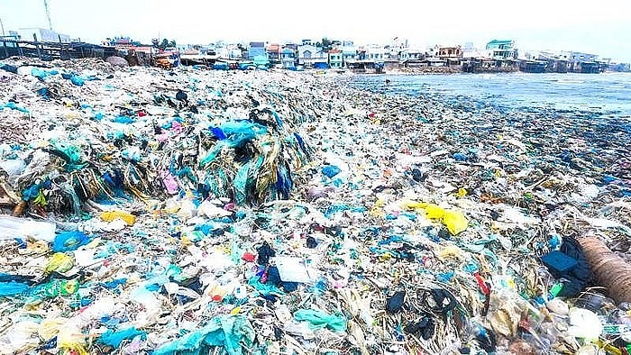 Sự đớn đau của rùa biển và lời kêu gọi của Thủ tướng Nguyễn Xuân Phúc su don dau cua rua bien va loi keu goi cua thu tuong nguyen xuan phuc