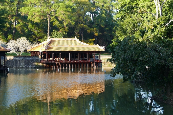 Di sản thế giới đầu tiên của Việt Nam nằm ở tỉnh nào? di san the gioi dau tien cua viet nam nam o tinh nao