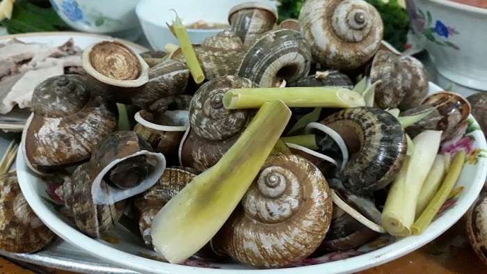 Sơn La có những đặc sản gì lạ miệng? son la co nhung dac san gi la mieng