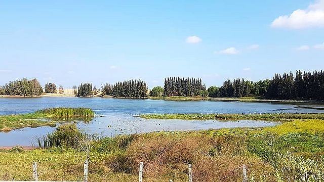 Khám phá Bàu Trắng – nơi được mệnh danh là “sa mạc Sahara ở Việt Nam” kham pha bau trang noi duoc menh danh la sa mac sahara o viet nam