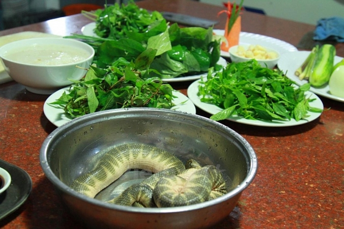 Quảng Bình có những đặc sản gì say lòng du khách? quang binh co nhung dac san gi say long du khach