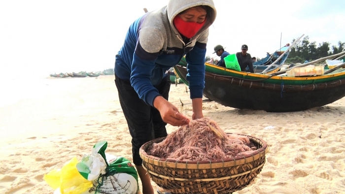Quảng Bình có những đặc sản gì say lòng du khách? quang binh co nhung dac san gi say long du khach