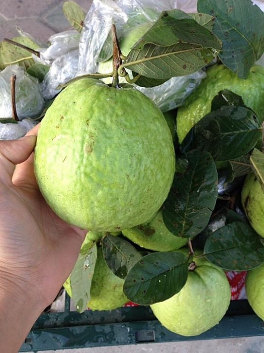 Hải Dương với những đặc sản cứ nhắc tên là nhớ ngay hai duong noi tieng voi nhung dac san nao rat doi tu hao