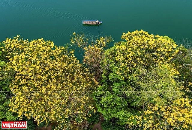 Phong cảnh Việt Nam - những bức hình tuyệt đẹp nhìn từ trên cao phong canh viet nam nhung buc hinh tuyet dep nhin tu tren cao