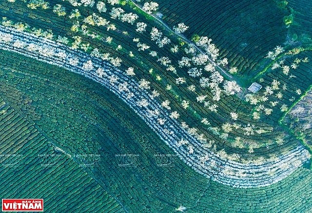 Phong cảnh Việt Nam - những bức hình tuyệt đẹp nhìn từ trên cao phong canh viet nam nhung buc hinh tuyet dep nhin tu tren cao