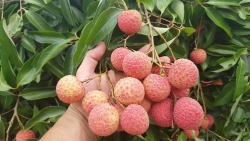 sai gon co nhung dac san gi noi tieng lam qua