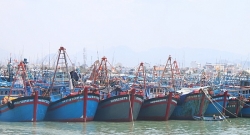 hoi nghinh ong la gi vi sao hoi nay duoc coi la le hoi nuoc lon nhat cua ngu dan